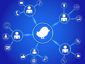 在樹莓派上安裝 Mosquitto 搭建 MQTT 網(wǎng)絡(luò)文化經(jīng)營(yíng)平臺(tái)